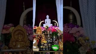 සිත නිවන ධර්ම කුටිය ? srilanka visitsrilanka colombo foryou buddhism religious travel shorts