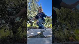 Top 5 most popular female singer TikTok viral trend song's 2025! 🎧😍🌍|Trending TikTok Dance| #explor​
