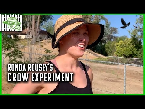 Ronda Rousey's Crow Experiment