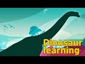 Dinosaur Brachiosaurus Collection | What is this dinosaur? | herbivorous dinosaur Triceratops | 공룡