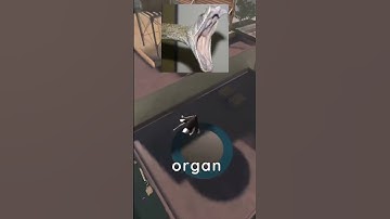 5 Surprising Facts You Didn’t Know About Snakes #shorts #facts