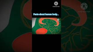 facts about human body.  subscribe. comment the topic you would like to know facts. facts