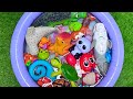 Sea Animal Adventure for Kids 🦀 | Ocean Animal Names, Facts &amp; Learning Fun