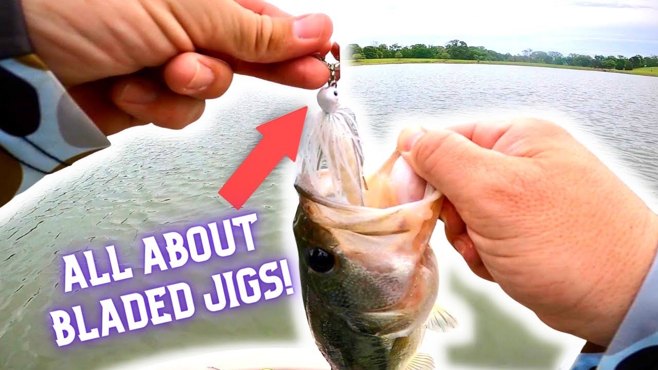 Bass Jig 101: Choosing The Best Types of Bass Jigs– Hunting and