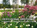 ❖ Пейзажные цветники ❖ - Ландшафтный дизайн