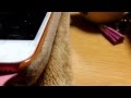 Brand-new season(声変 練習)