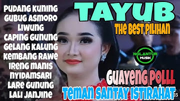 TAYUB toP THE BEST  ❗️ GUAYENG POLLL TEMAN SANTAY ISTIRAHAT PILIHAN