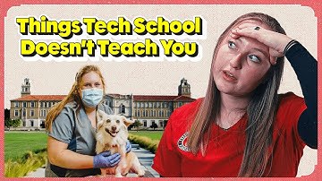 What The Veterinary Industry Doesn