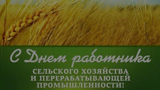 Видеоконцерт &quot;Хвала рукам, что пахнут хлебом&quot;