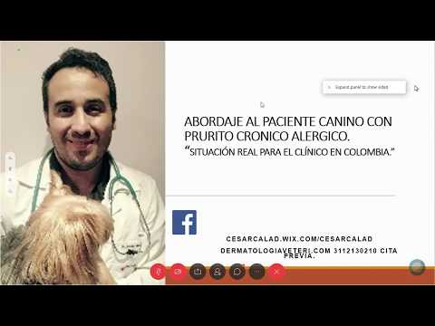 Video: Citrato De Maropitante (Cerenia) - Lista De Medicamentos Y Recetas Para Mascotas, Perros Y Gatos