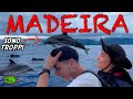 A MADEIRA IN MEZZO AI DELFINI 🇵🇹 - Madeira Vlog ep. 1