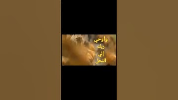 #القران_الكريم#خشوع_طمأنينه_راحه_للقلب#سورة النحل#ايات_قرانيه_قصيره#حالات_واتس#الموعظة_الحسنةتدبى