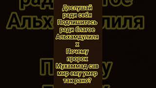 #смертьпророка #коран #жизньпослесмерти #ахират #истина #урокислама #пророкмухаммад #alhamdulillah