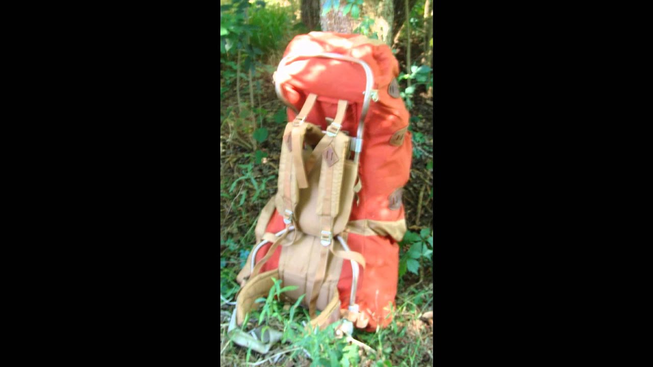 backpack gregory hk Gregory - CLASSIC DAY Day Backpack (Multiple Colour)