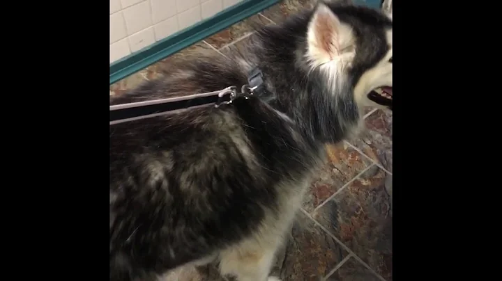Mavericks bath time