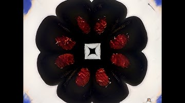 coastline - StyleGAN Animation with mauaGAN (own Network)