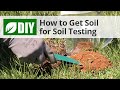 How to Take A Soil Sample for Soil Testing