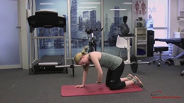 Thoracic Mobility Series  Reach Through Thoracic Rotation in Quadruped   Symmetry Physical Therapy