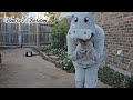 NEWCOSPLAY Animal Onesie Pajamas Review | Fun &amp; Cozy Sleepwear