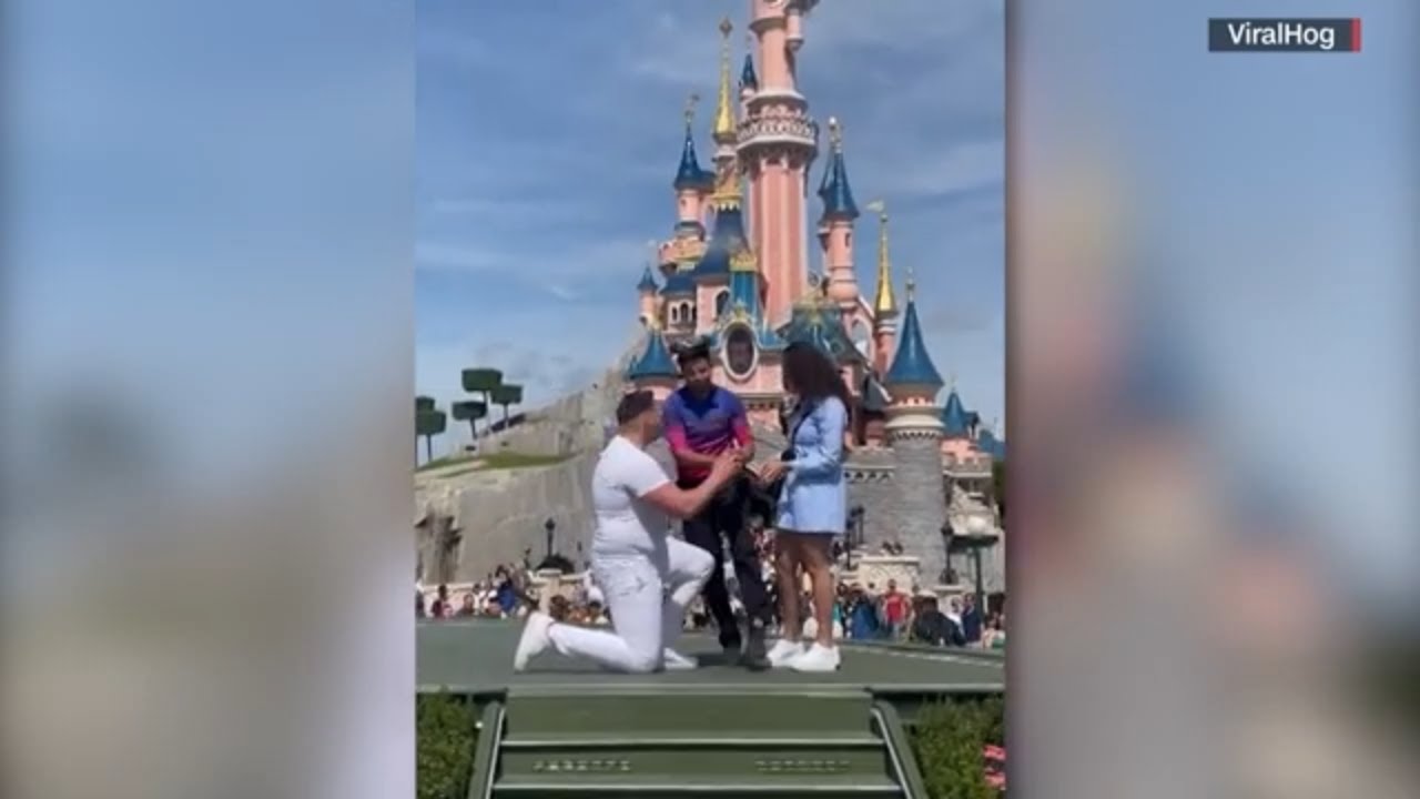 Disney apologizes after employee interrupts wedding proposal YouTube