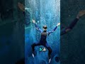 顕微鏡で見たプールの水 🔬🏊