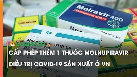 Cấp phép thêm 1 thuốc Molnupiravir điều trị COVID-19 sản xuất ở VN