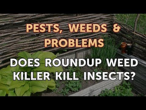 How Does Roundup Kill Insects