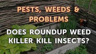 Does Roundup Weed Killer Kill Insects?