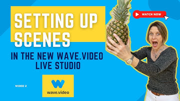 Learn How To Set Up The New Wave.video Live Streaming Scenes Settings