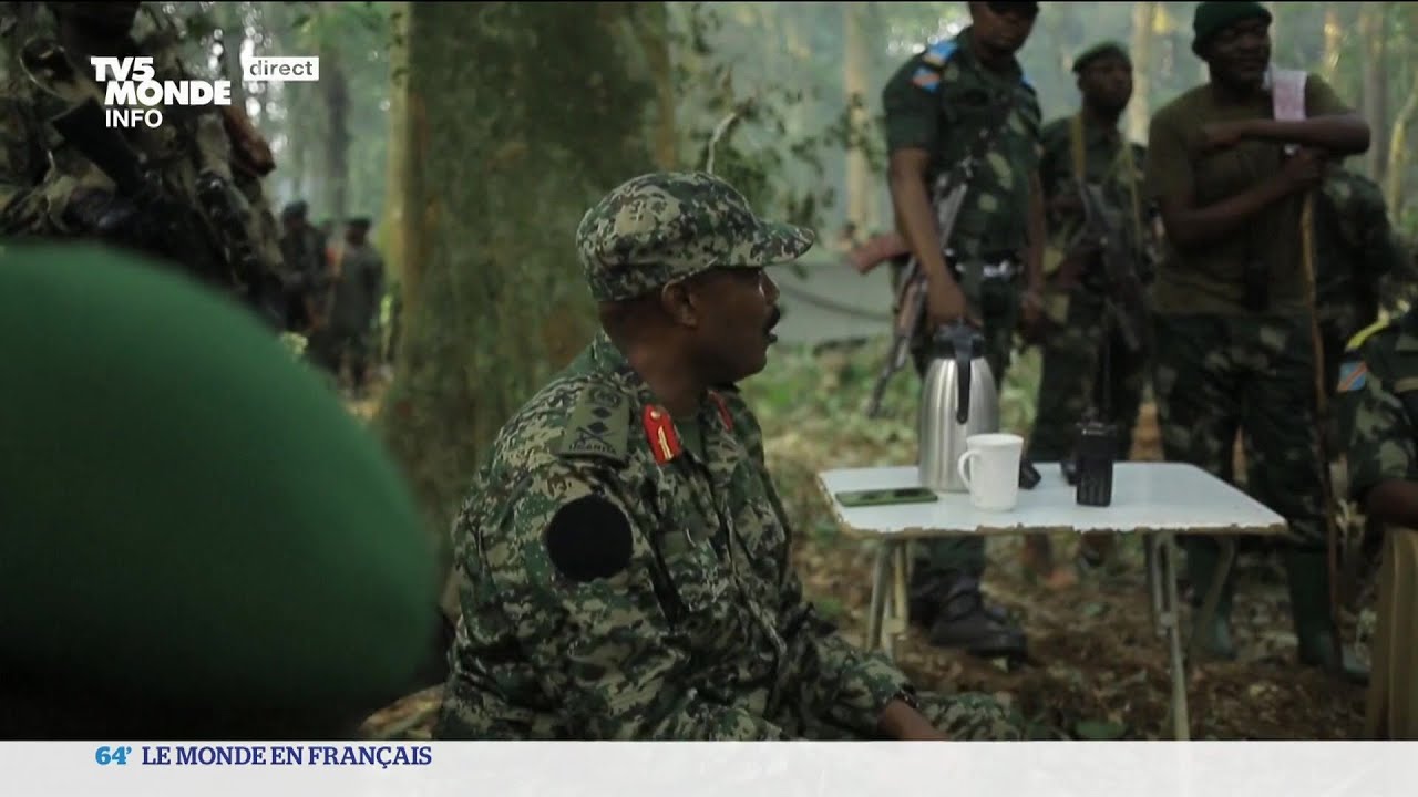 RDC : les troupes ougandaises traquent les rebelles ADF