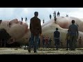 The Drowned Giant Movie Explained in Hindi/Urdu | Love Death + Robots Netflix | Explainer Roibish