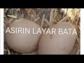 ASIRIN LAYAR BATA BA DUHU MUJARRABI