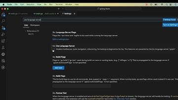 07 VS Code auto import package problem solution for Golang #vscode #golang  #settings