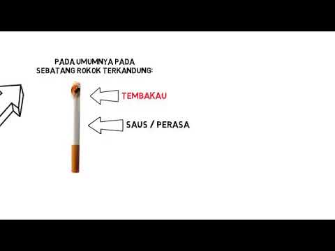 BAHAYA ROKOK ADALAH SAUS/PERASA