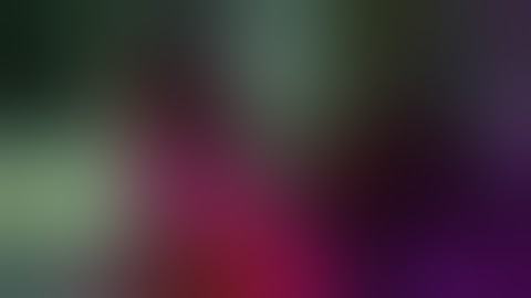 Enter The Void | Full Movie | Nathaniel Brown | Paz de la Huerta | Cyril Roy