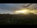 Goose and Duck migration from northern Alberta - Oct 18, 2023