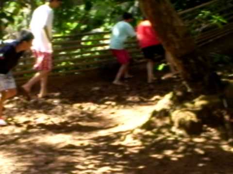 CMS Fieldtrip to Earth Haven (Capture the Piglet, ...