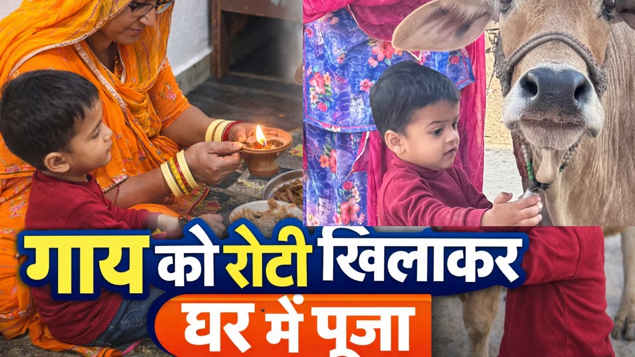 आज गाय के साथ प्यारी बातें ki banna ne ❤️🐄🧿| घर में खास पूजा 🙏🌸#dailyvlog#uadipur#rajasthanvlog 