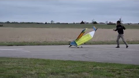 DBF 2016 Crash Compilation