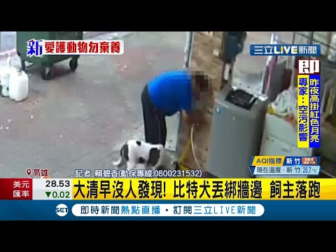 趁一大早沒人發現"丟狗"！ 男開遊覽車到"流浪動物協會"丟棄比特犬落跑 飼主恐挨罰3-15萬｜記者 賴碧香｜【LIVE大現場】20210330｜三立新聞台