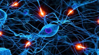 ● Нервная Система ● Практика Для Восстановления И Исцеления 🙏 Регенерация Нервной Ткани ✅