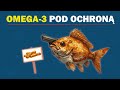 Tymi sposobami nie zniszczysz Omega 3 w rybach