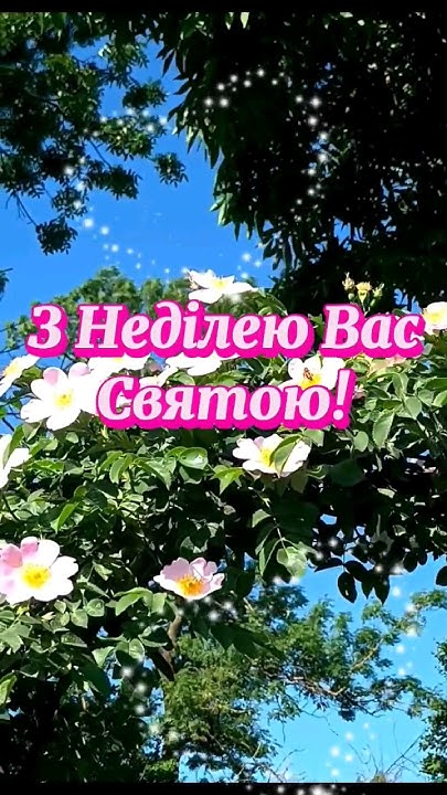 З НЕДІЛЕЮ ВАС СВЯТОЮ! #привітання #вітання #неділя - YouTube