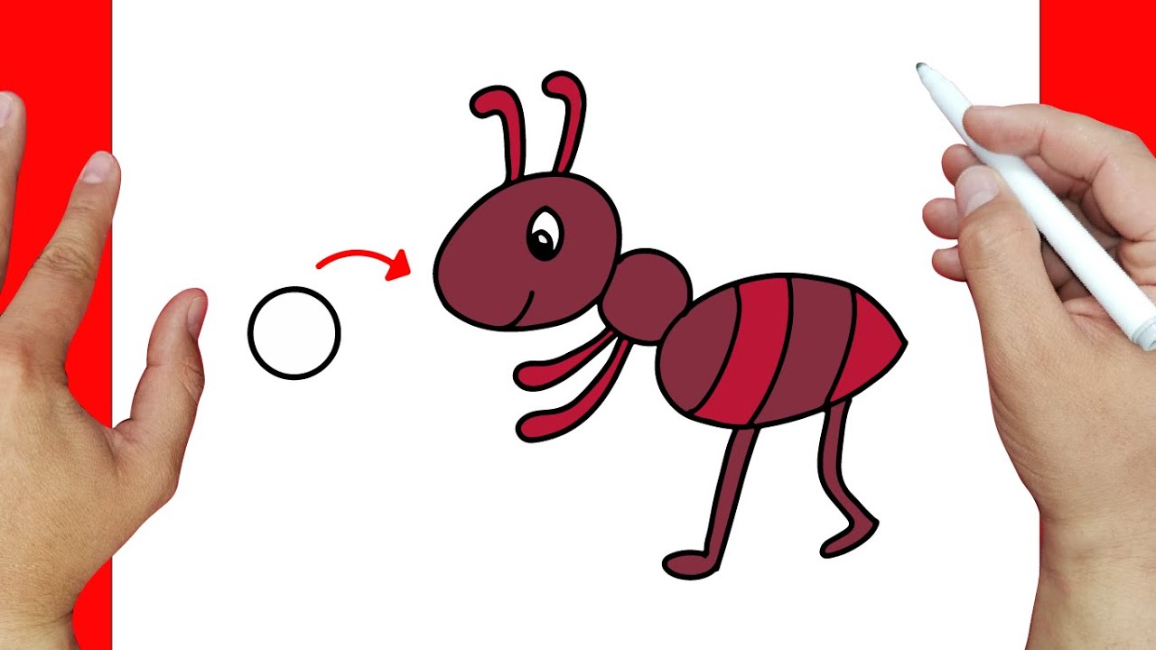 Como dibujar una hormiga Cómo dibujar Animales para niños YouTube