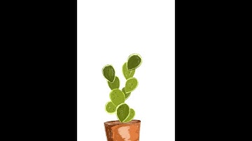 Cactus drawing in Procreate