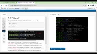 VIDIO NDG Linux Essentials - Lab 9: Archiving and Compression