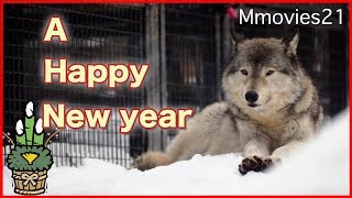 新年も元気にスタート　2018年元旦の円山動物園