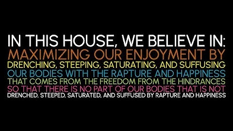 The Brain as a Non-Linear Optical Computer: Reflections on a 2-Week Jhana Meditation Retreat