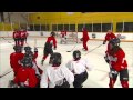 Hockey Skills: One Time Snapshot