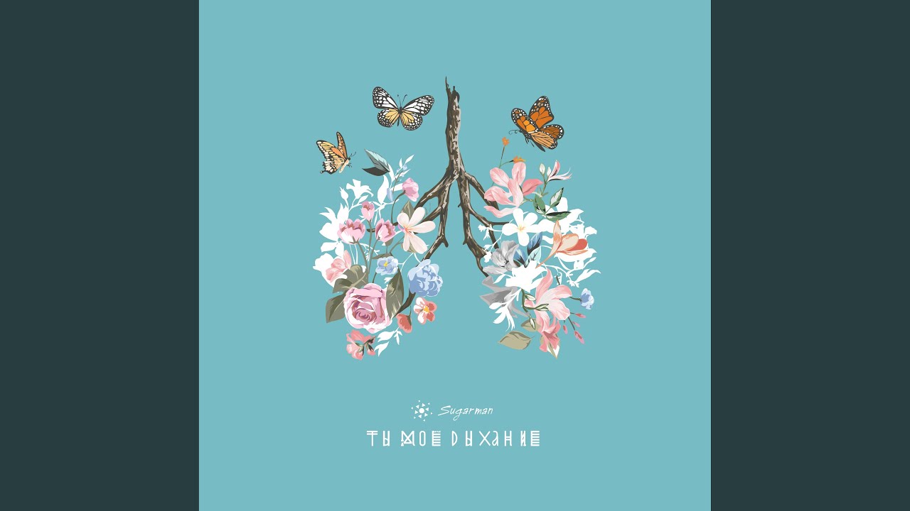 {artistName}의 {trackName} 뮤직 비디오 보기